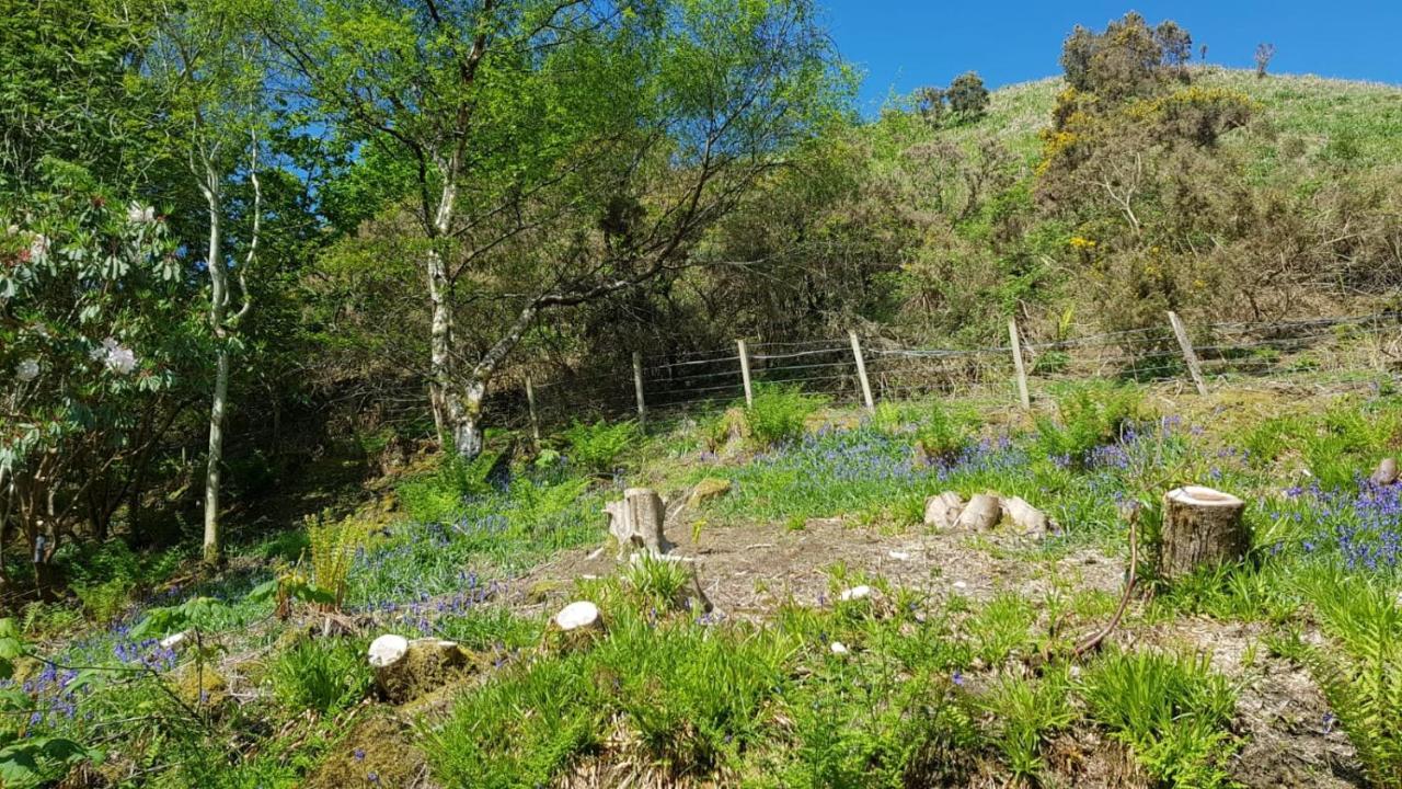 The Old Cottage Arduaine Exterior foto
