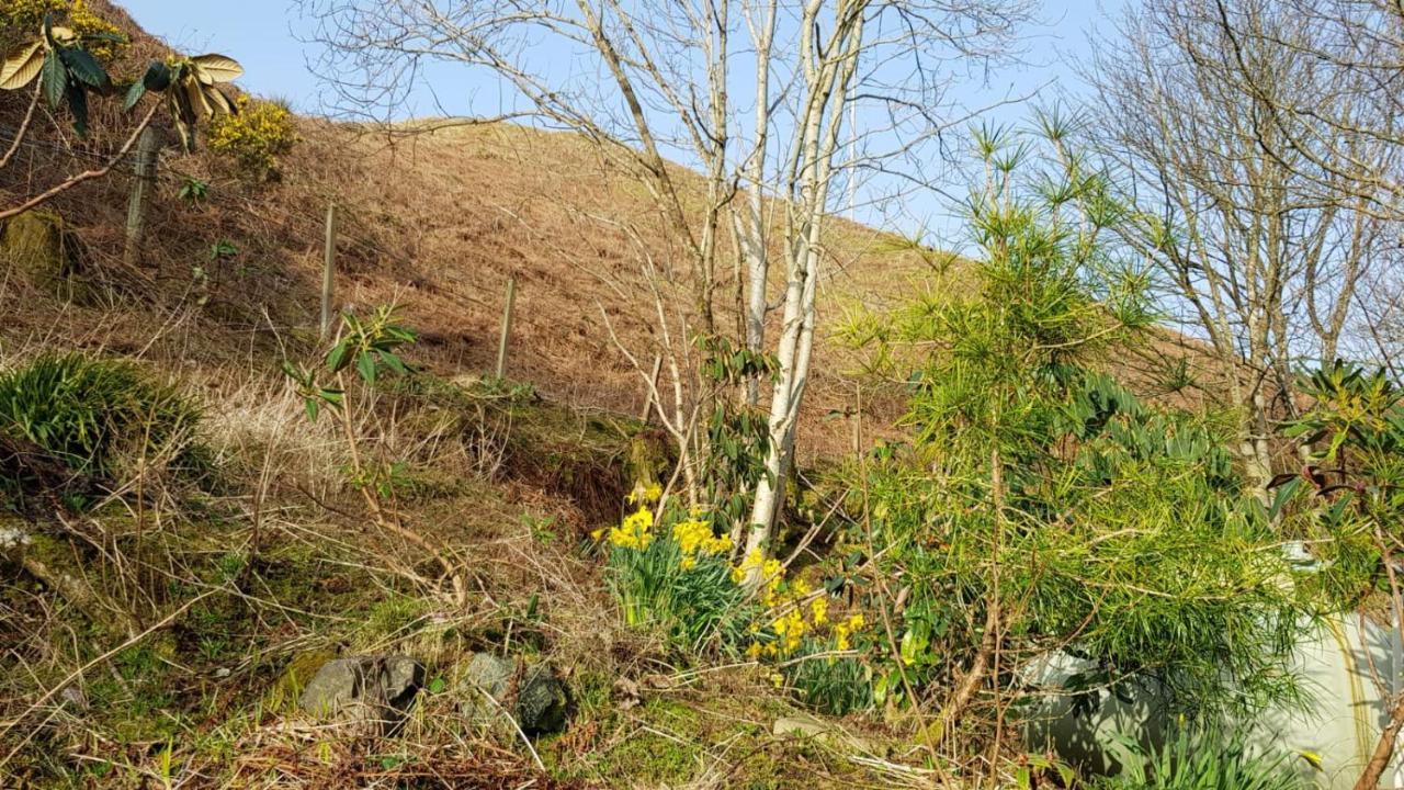 The Old Cottage Arduaine Exterior foto