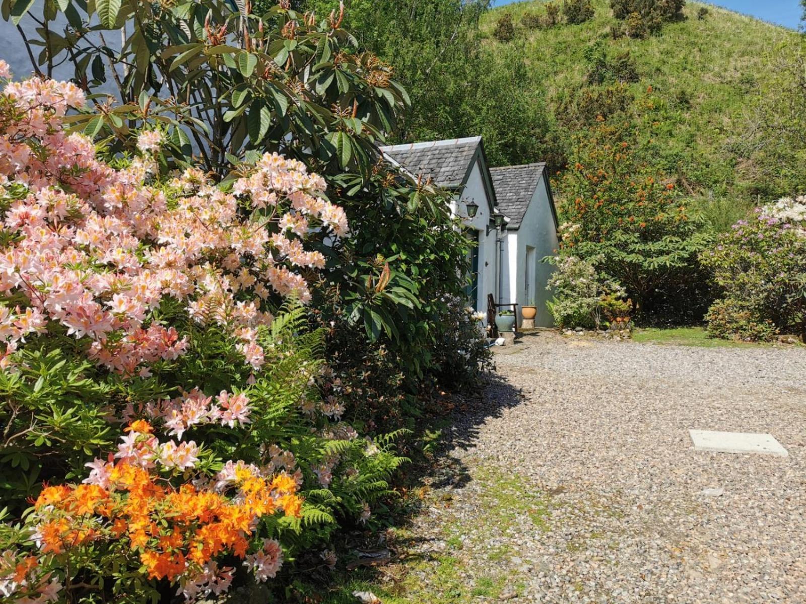 The Old Cottage Arduaine Exterior foto